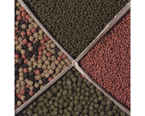 Olika typer av fiskfoder i en förpackning