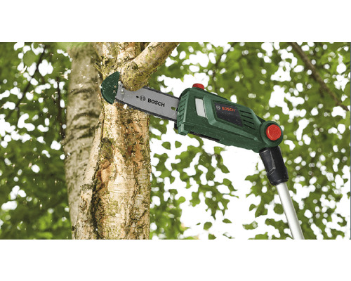 En Bosch stångsåg sågar en gren.