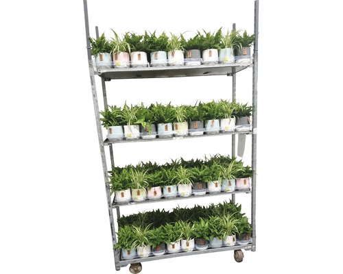 Försäljningsvagn med krukväxter i krukor