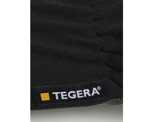 Tegera Logotyp