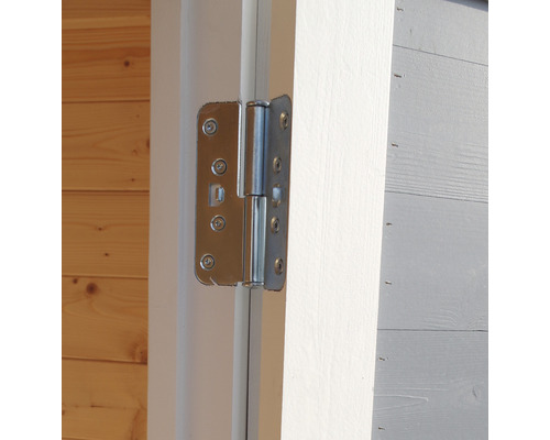 Dörrgångjärn av metall på en trädörr