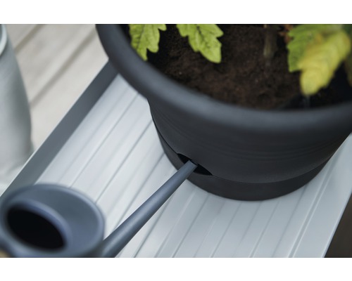 Detaljbild av en växt i en kruka med bevattningssystem och vattenkanna