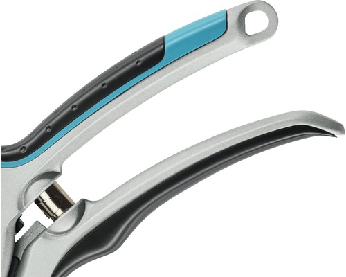 Närbild av en trädgårdssax