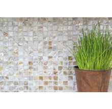 Fyrkantiga mosaikplattor och krukväxt