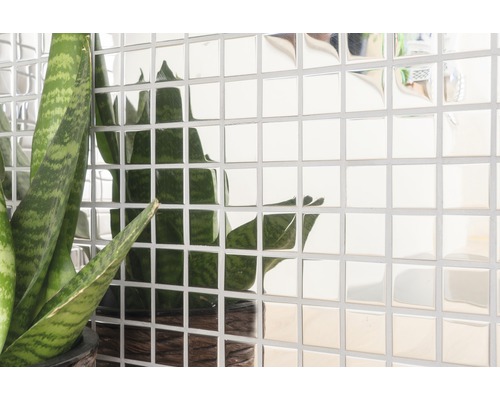 Väggplattor med spegeleffekt och krukväxt