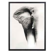 Inramad affisch med svartvit fotografi av en elefant