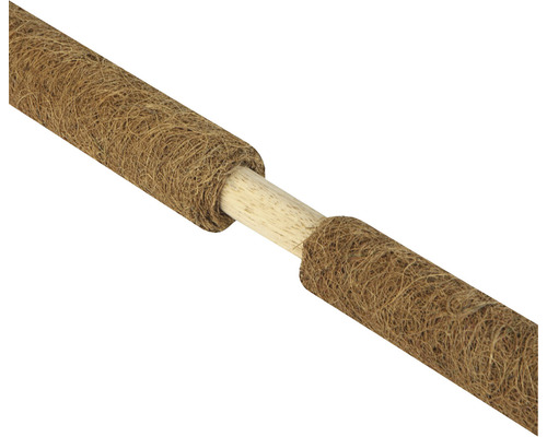 Växtstöd av kokosfiber med träpinne