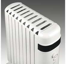 Radiator Eurom 2000 ölfrei