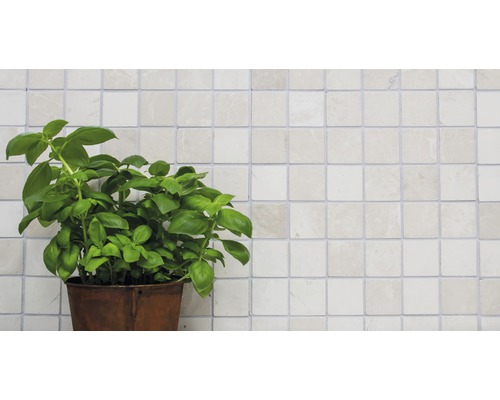 Basilika växt i kruka framför en kakelvägg