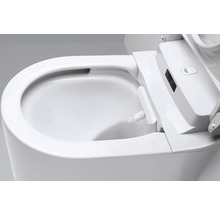 Närbild av en toalett med bidéfunktion