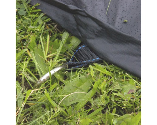 Detaljvy av ett tält med tältpinne i gräset