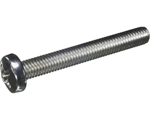 En enskild metallskruv med kryssskruvmejsel