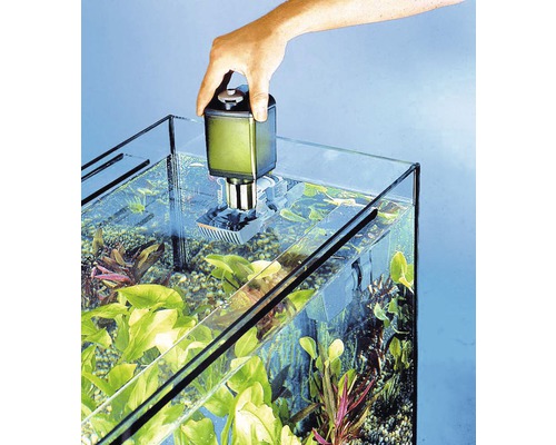 Akvarium med innerfilter och växter