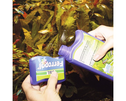 Akvarium med guppy och tillsats av JBL Ferropol växtnäring