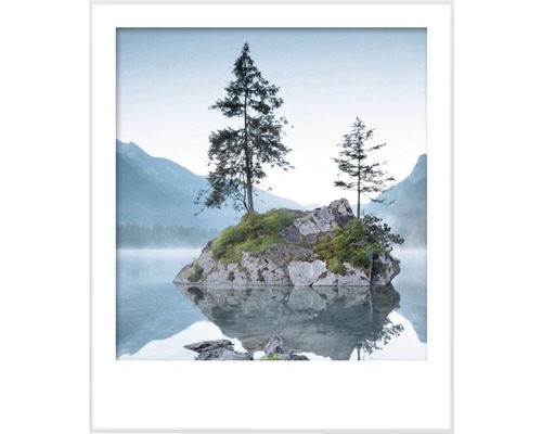 Inramad bild av en klippö i en sjö med träd