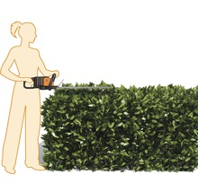 En kvinna klipper en häck med en häcksax.