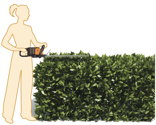 En kvinna klipper en häck med en häcksax.