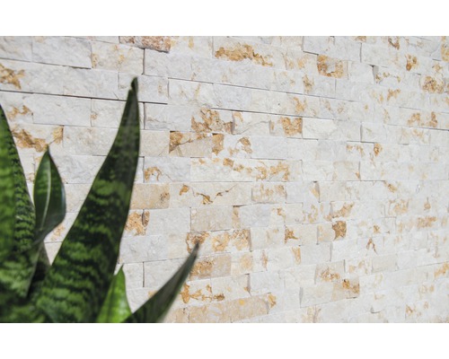 Naturstensbeklädnad med växter i förgrunden