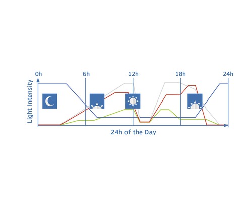 Grafik över ljusintensitet över 24 timmar