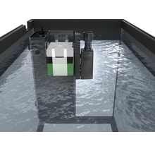 Akvarium innerfilter i vattnet