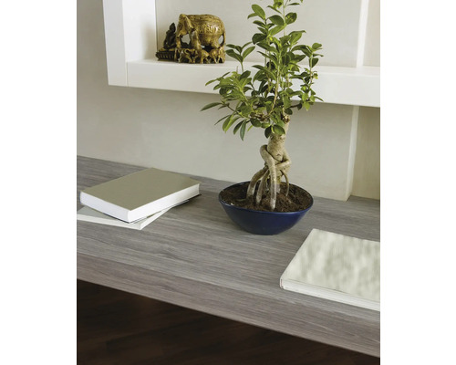 Scen med en bonsai i en skål, böcker och en elefantfigur på en hylla