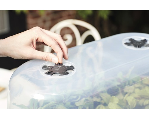 Närbild av drivhuslock med ventilationsreglage