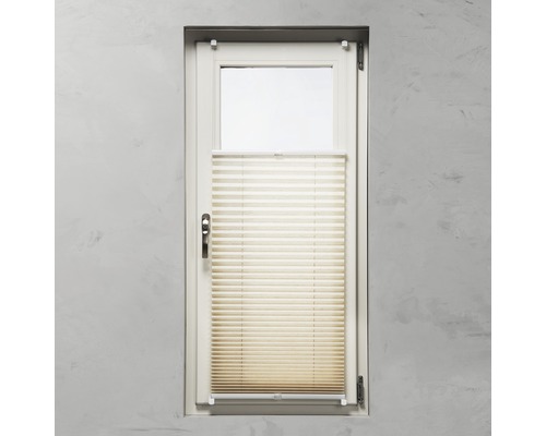 Fönster med plisségardin för ljusreglering och insynsskydd