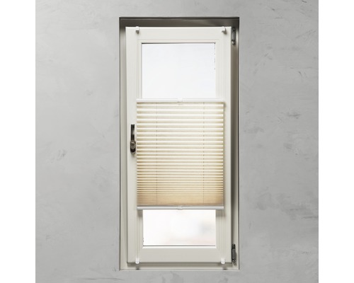 Fönster med plisségardin för skuggning