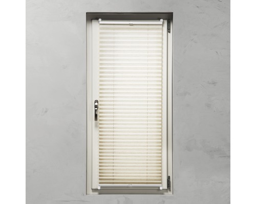 Fönster med plisségardin för avskildhet