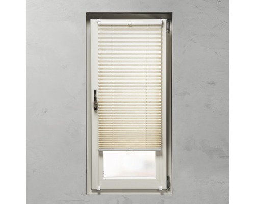 Fönster med plisségardin för ljusreglering