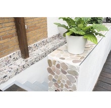 Utomhusområde med stenmosaik, växt i kruka