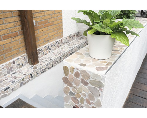 Utomhusområde med stenmosaik, växt i kruka