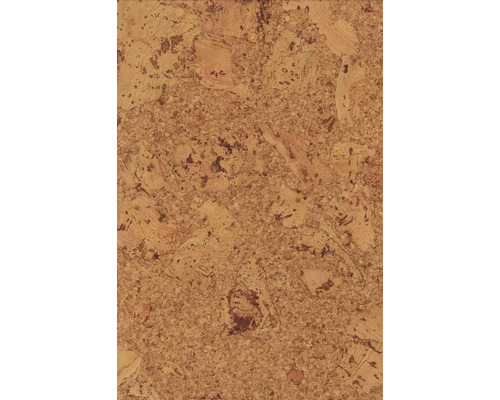 Närbild av en korkyta med naturliga mönster