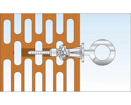 Bild av en hålrumsplugg med ringskruv i en perforerad vägg.