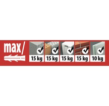 TOX Universalplugg med hake Pirat Bill-L, 4 styck