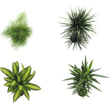 Krukväxter grönmix FLORASELF 120-140cm Ø24cm olika sorter 1st-thumb-12