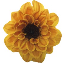 Dahlia FLORASELF Dahlia Temptation Ø17cm blandade sorter