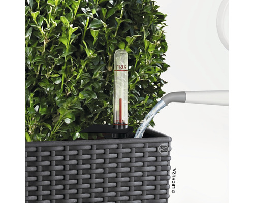 Vattning av en blomkruka med vattennivåindikator