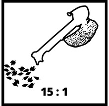 Symbol för kompostacceleration 15:1