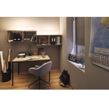 Kontorsdesign med skrivbord, stol, trälådor som hyllor och världskarta