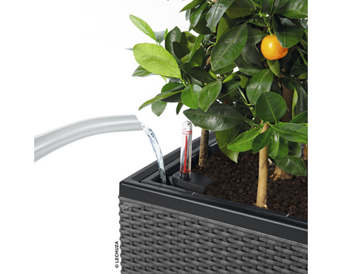 Vattningssystem för blomlådor med vattennivåindikator och växt