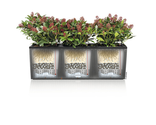 Balkonglåda med växter och bevattningssystem