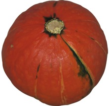 Enkel Hokkaido pumpa