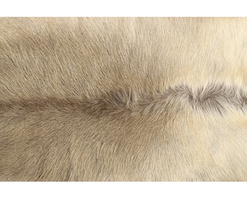 Närbild av ett ljust renskinn.