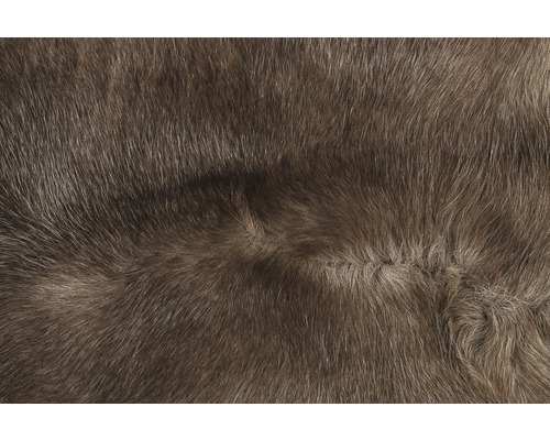 Närbild av djurhud för hemtextilier