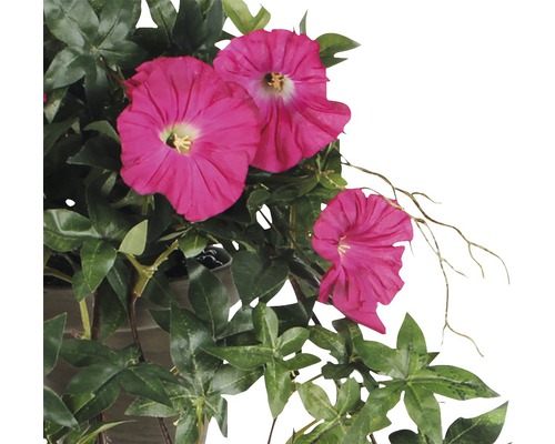 Klätterväxt med rosa blommor och gröna blad