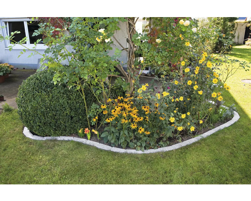 Trädgårdsscen med blomsterrabatt, buxbomsklot och gräsmatta