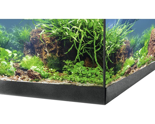 Detaljvy av ett planterat akvarium med stenar och diverse växter