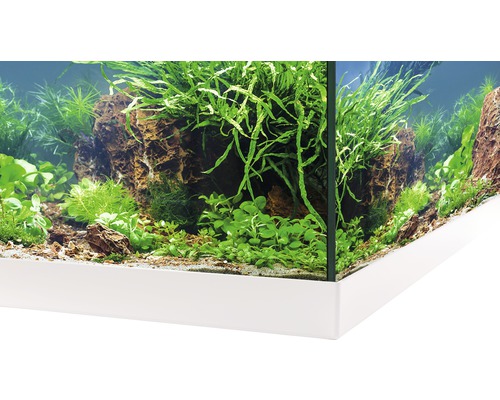 Detaljvy av ett akvarium med stenar, växter och ett vitt underskåp