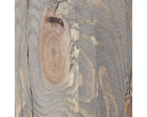 Trästruktur med kvist